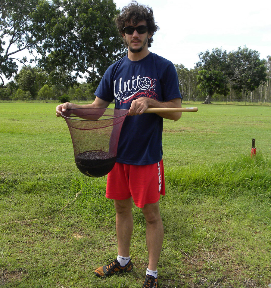 over 16000 Toad tadpoles from 1 night with a trap