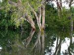 Example of billabong on major wetlands